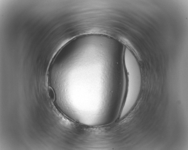 X0000063470900200601231441