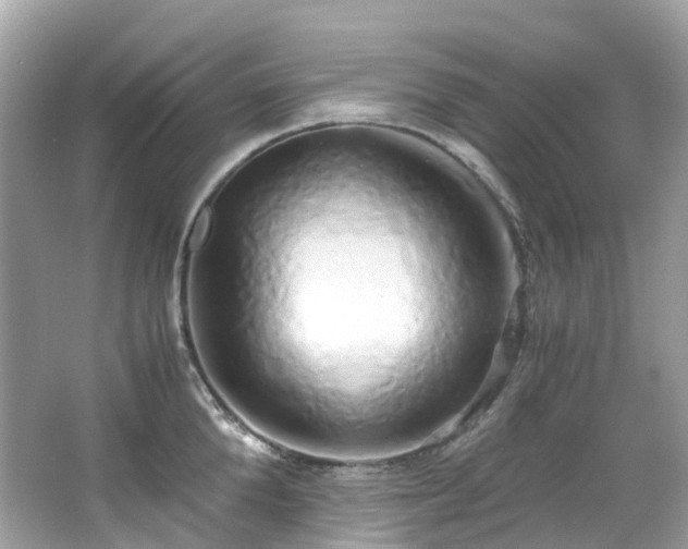 X0000063470904200601231441