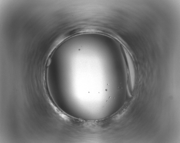 X0000063470909200601231441