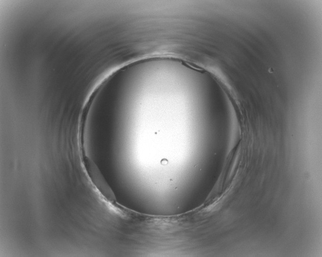 X0000063470910200601231441