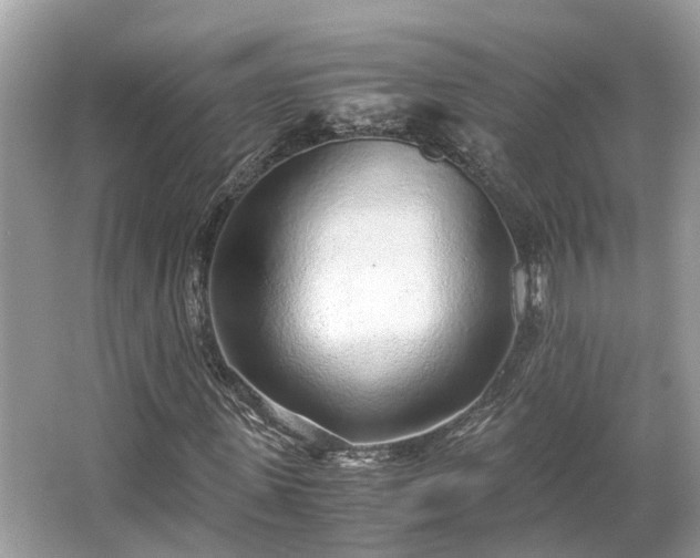 X0000063470915200601231440