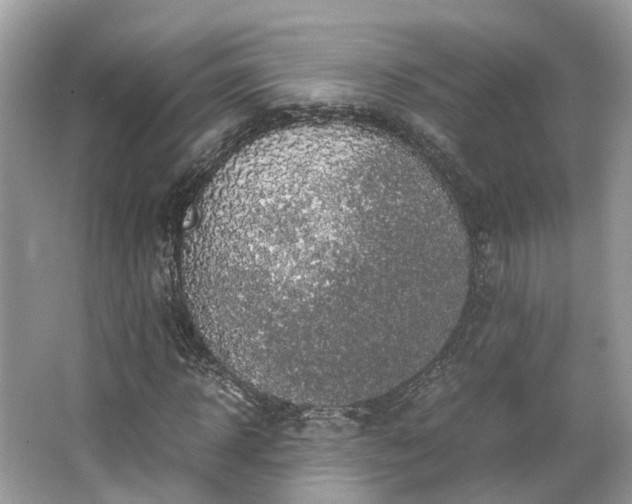 X0000063470918200601231440