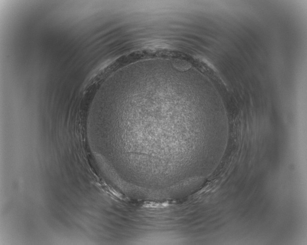 X0000063470919200601231440