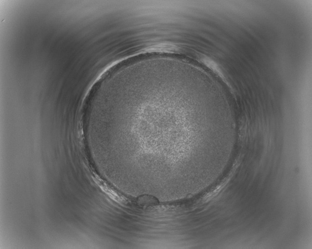X0000063470923200601231440