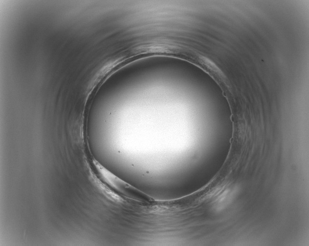 X0000063470938200601231441