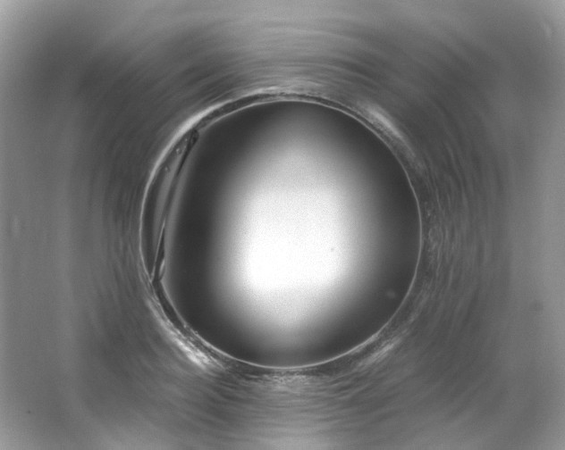 X0000063470940200601231441