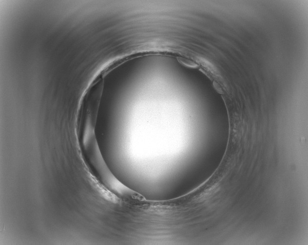 X0000063470942200601231441