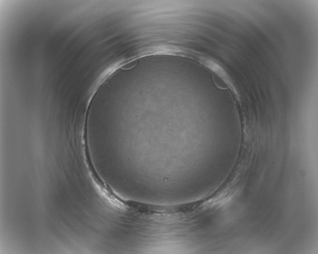 X0000063470954200601231441
