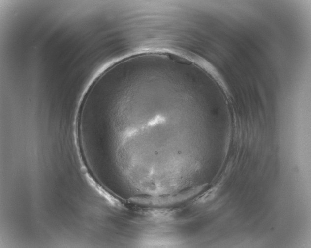 X0000063470958200601231441