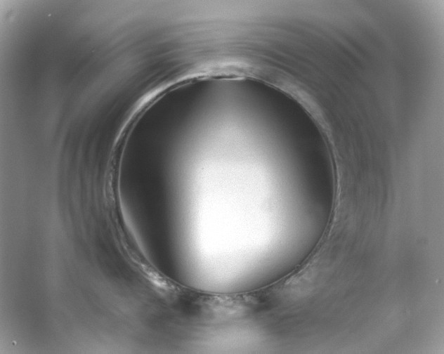 X0000063470960200601231441