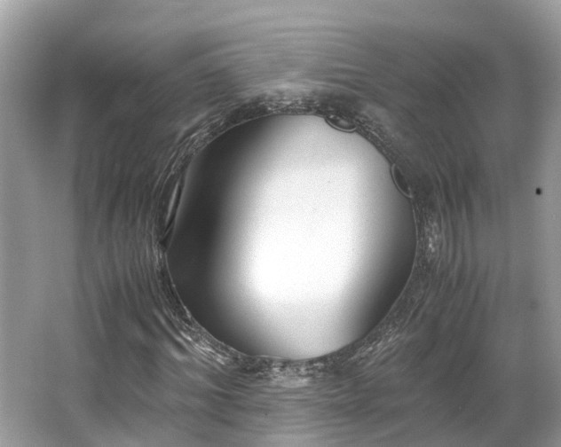 X0000063470964200601231440