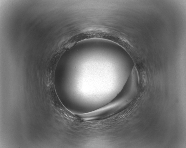 X0000063470965200601231440