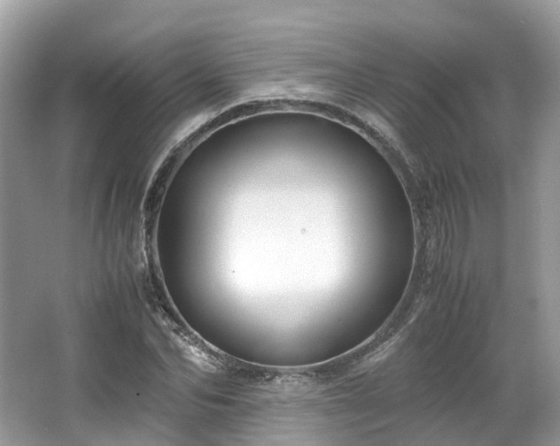 X0000063470974200601231440