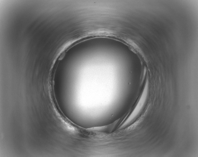 X0000063470989200601231440