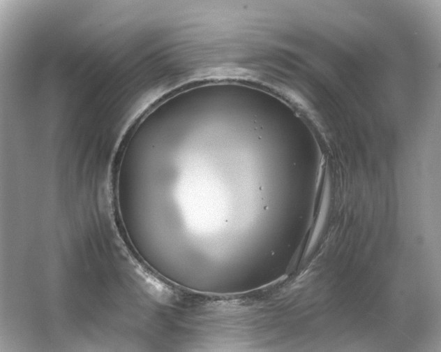 X0000063470990200601231440