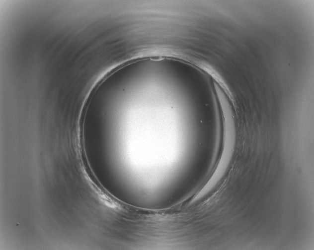 X0000063470996200601231440
