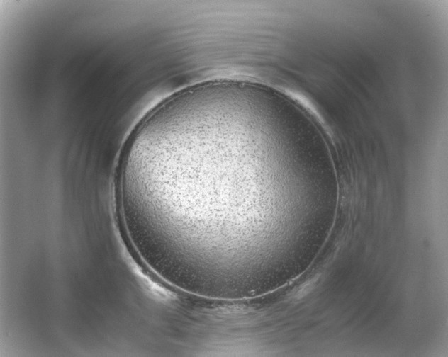 X0000063470999200601231439