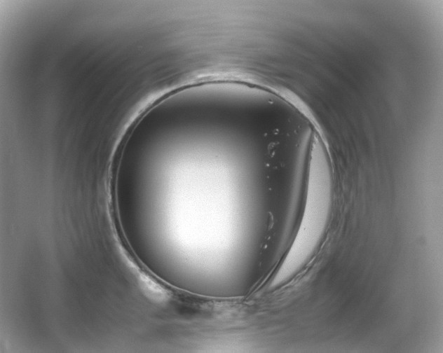 X0000063471005200601231439