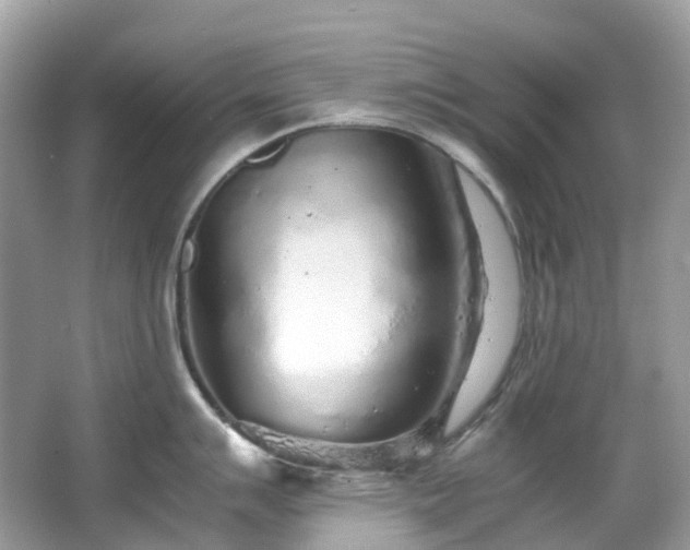 X0000063471007200601231439