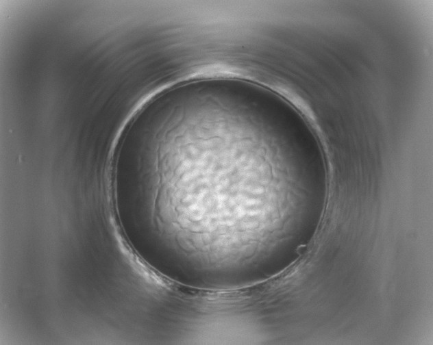 X0000063471008200601231439