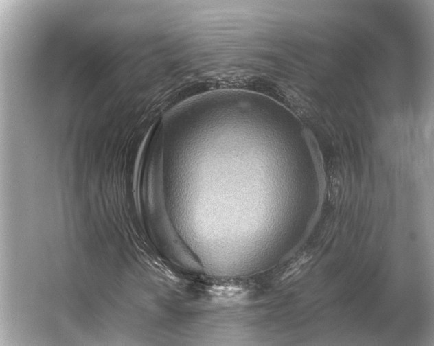 X0000063471010200601231439