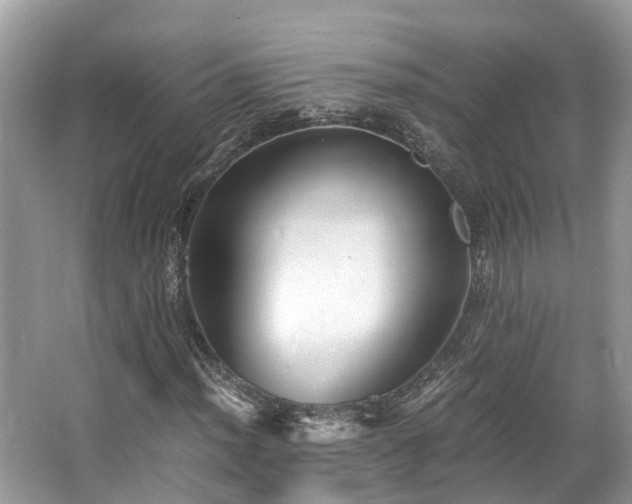 X0000063471012200601231439