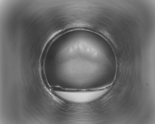 X0000063471024200601231439