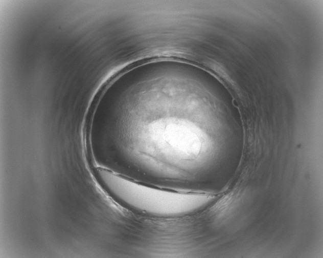 X0000063471032200601231439