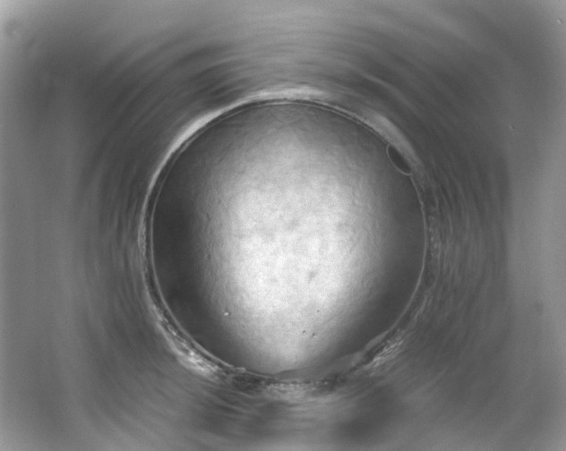X0000063471044200601231439