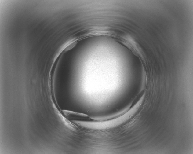 X0000063471050200601231439