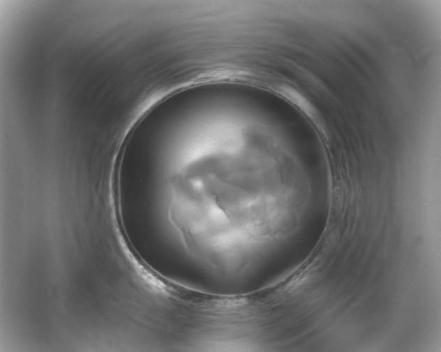 X0000063471055200601231439
