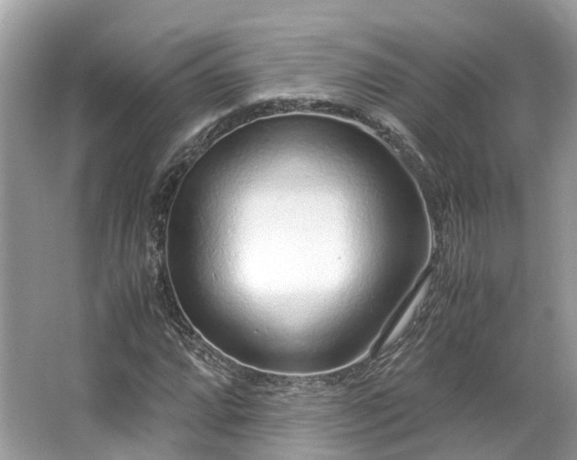 X0000063471064200601231438