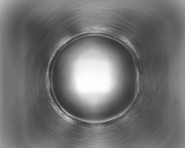 X0000063471080200601231438