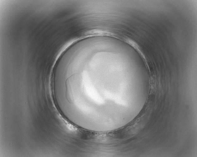 X0000063471098200601231438