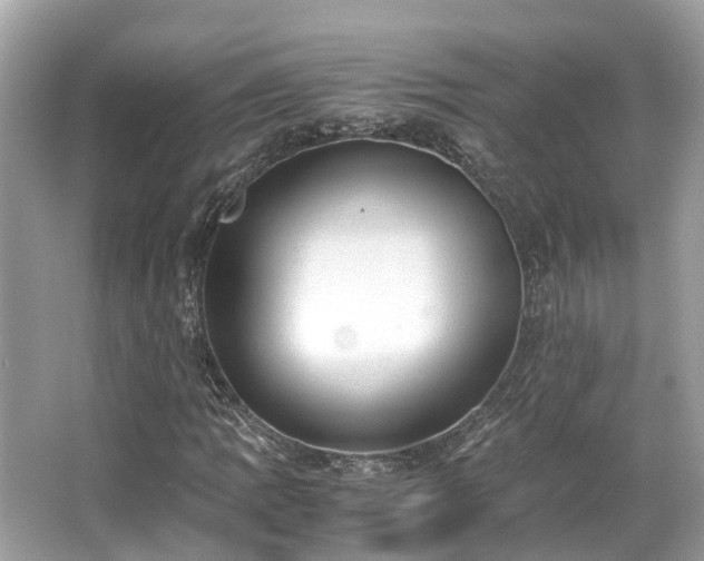 X0000063471109200601231437