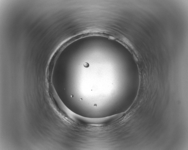 X0000063471124200601231437