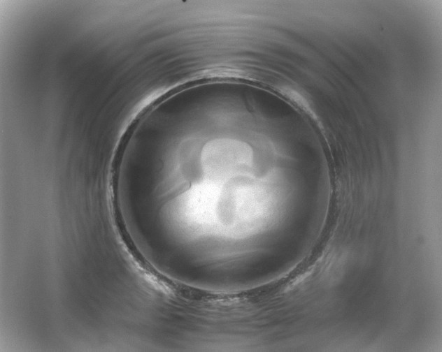 X0000063471133200601231437