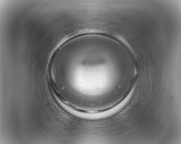 X0000063471173200601231437