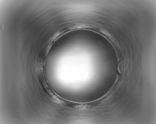 X0000063471185200601231436