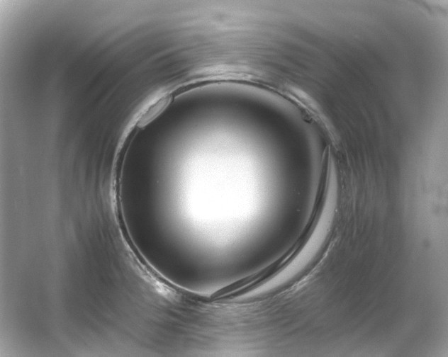 X0000063471188200601231436