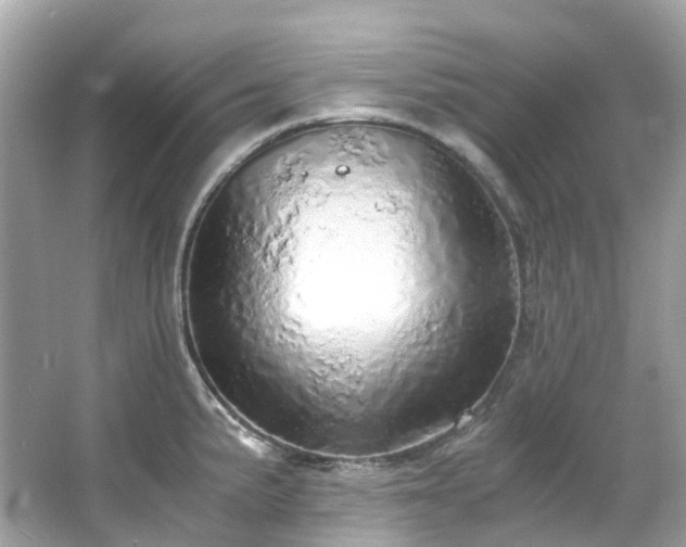 X0000063471191200601231436