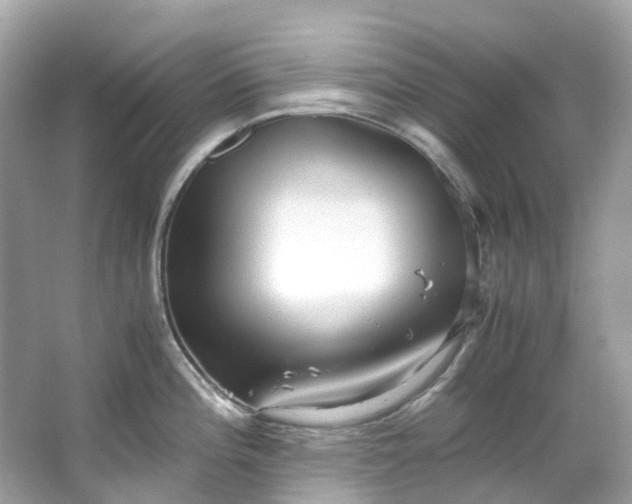 X0000063471196200601231436