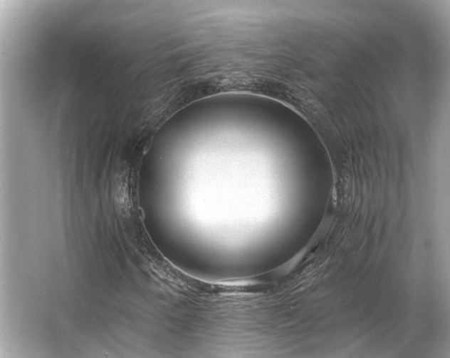 X0000063471250200601231435