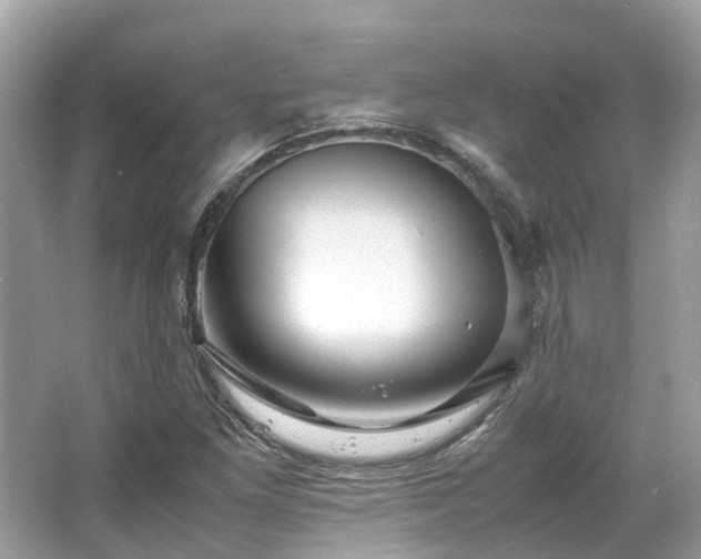 X0000063471261200601231435