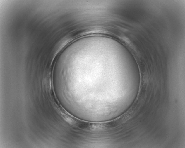 X0000063471274200601231435