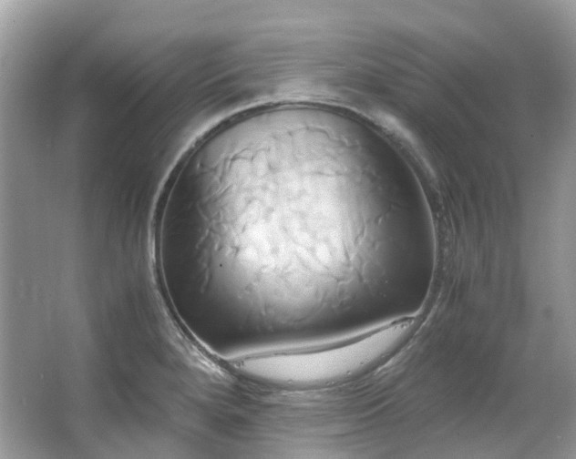 X0000063471280200601231435