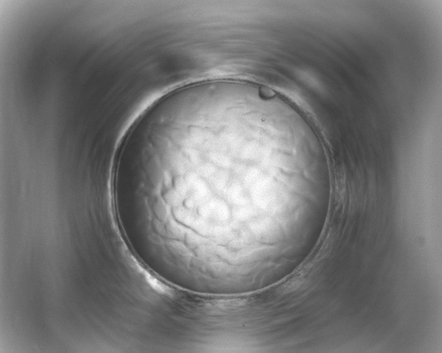 X0000063471294200601231434
