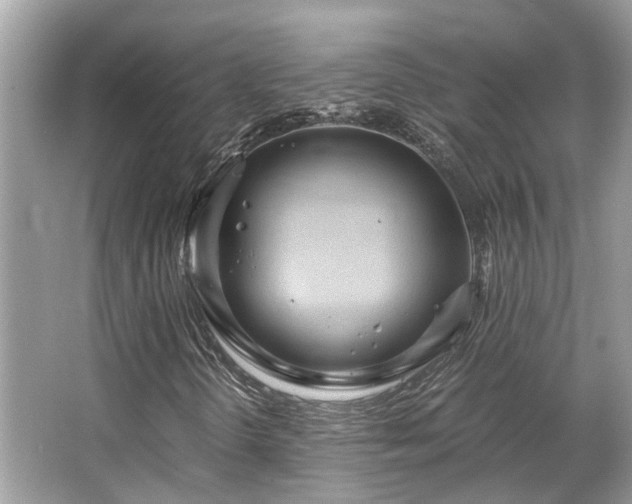 X0000063471298200601231434