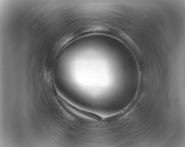 X0000063471321200601231434