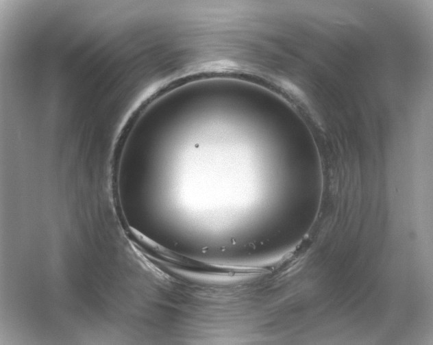 X0000063471326200601231434